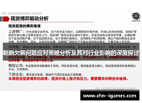 赵鹏欠薪问题应对策略分析及其对行业影响的深度探讨