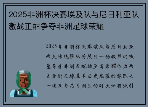 2025非洲杯决赛埃及队与尼日利亚队激战正酣争夺非洲足球荣耀
